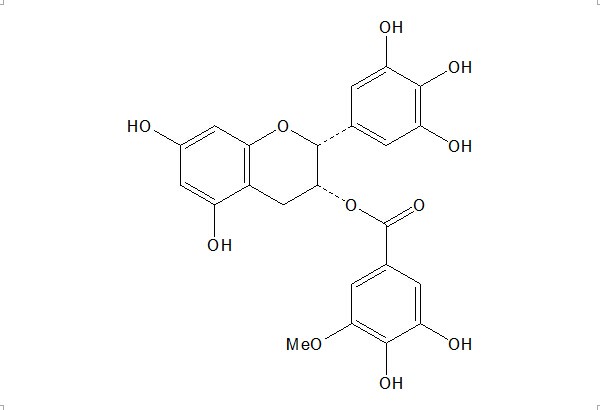 3''-O-甲基表沒(méi)食子兒茶素沒(méi)食子酸酯 中藥對(duì)照品 標(biāo)準(zhǔn)品