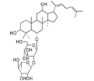 人參皂苷F4 CAS：181225-33-2 中藥對(duì)照品標(biāo)準(zhǔn)品