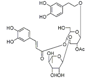  2'-乙酰毛蕊花糖苷 CAS：94492-24-7 中藥對照品標(biāo)準(zhǔn)品