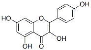 山奈酚 CAS：520-18-3 中藥對照品標(biāo)準(zhǔn)品