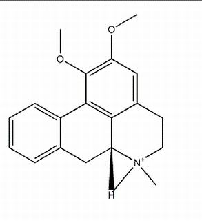 N-甲基荷葉堿 CAS：754919-24-9 中藥對照品標(biāo)準(zhǔn)品