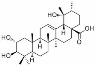 委陵菜酸 CAS：13850-16-3 中藥對照品標(biāo)準(zhǔn)品