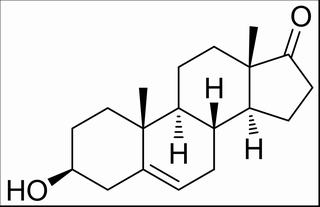 脫氫表雄甾酮(DHEA) CAS：53-43-0 中藥對(duì)照品標(biāo)準(zhǔn)品