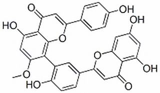 蘇鐵雙黃酮 CAS：2608-21-1 中藥對(duì)照品標(biāo)準(zhǔn)品