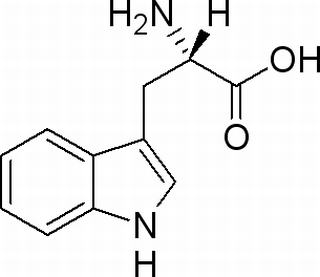 L-色氨酸 CAS：73-22-3 中藥對照品標(biāo)準(zhǔn)品