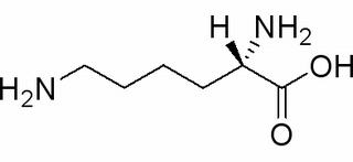 L-賴氨酸 CAS:56-87-1 中藥對(duì)照品標(biāo)準(zhǔn)品
