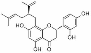 苦參醇 F CAS：97938-30-2 中藥對(duì)照品標(biāo)準(zhǔn)品