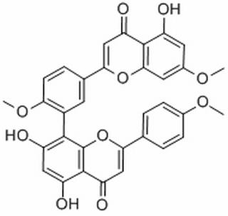 金松雙黃酮 CAS： 521-34-6 中藥對照品標(biāo)準(zhǔn)品