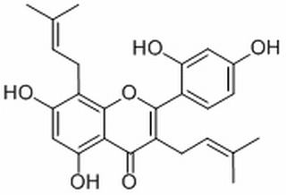 桑黃酮 CAS：62949-79-5 中藥對照品標(biāo)準(zhǔn)品