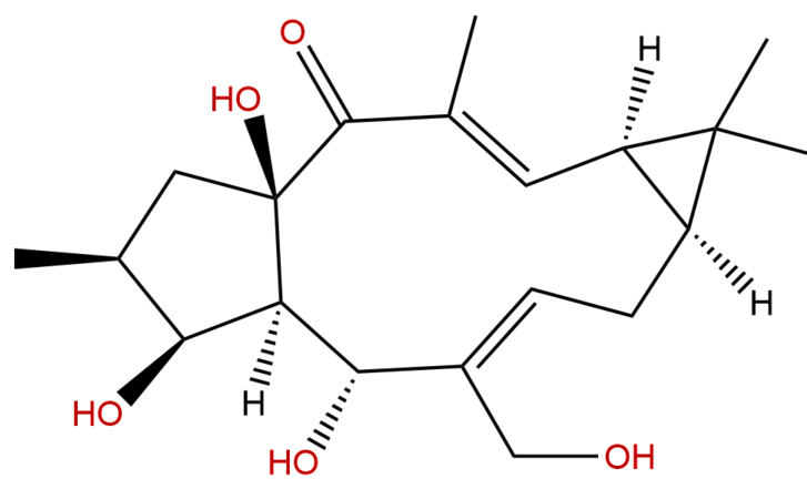 17-羥基異千金二萜醇 CAS：93551-00-9 中藥對照品標(biāo)準(zhǔn)品