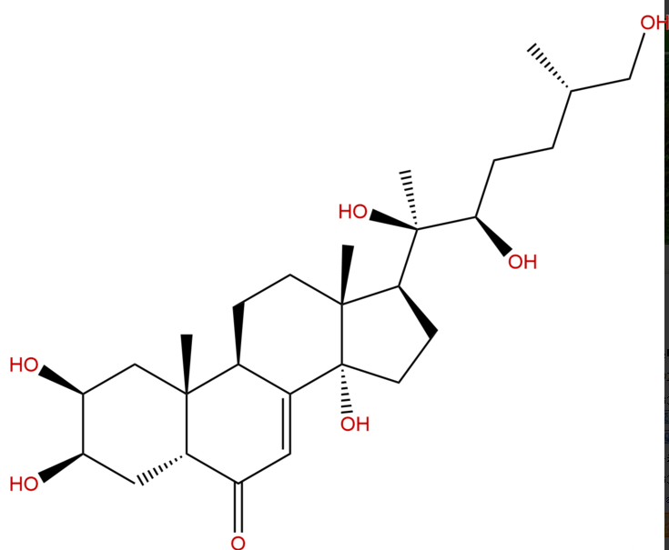 25R-牛膝甾酮 CAS：19682-38-3 中藥對照品標(biāo)準(zhǔn)品