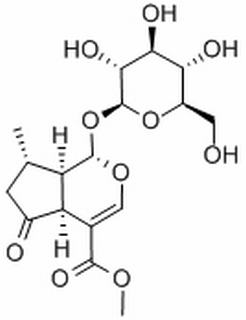 馬鞭草苷 CAS：548-37-8 中藥對照品標(biāo)準(zhǔn)品