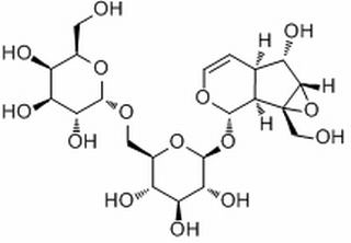 地黃苷 A CAS：81720-05-0 中藥對(duì)照品標(biāo)準(zhǔn)品