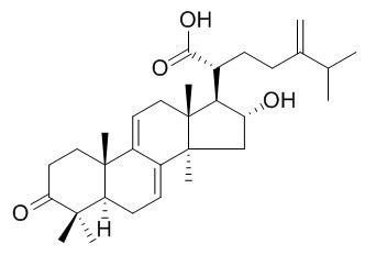 豬苓酸C CAS： 465-18-9 中藥對(duì)照品標(biāo)準(zhǔn)品