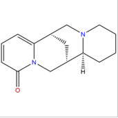 黃華堿 CAS： 486-90-8 中藥對照品標(biāo)準(zhǔn)品