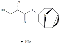 氫溴酸東莨菪堿 CAS：114-49-8 中藥對(duì)照品 標(biāo)準(zhǔn)品