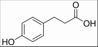 對(duì)羥基苯丙酸 CAS：501-97-3 中藥對(duì)照品標(biāo)準(zhǔn)品