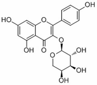 山柰酚-3-O-α-L-吡喃阿拉伯糖苷 CAS: 99882-10-7 中藥對照品