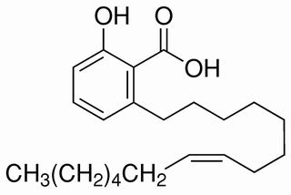 銀杏酚酸（15:1） CAS：22910-60-7 中藥對(duì)照品標(biāo)準(zhǔn)品