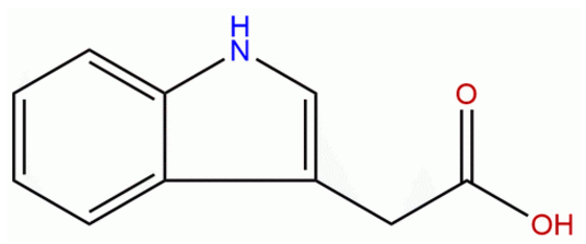 3-吲哚乙酸 CAS：87-51-4 中藥對(duì)照品標(biāo)準(zhǔn)品