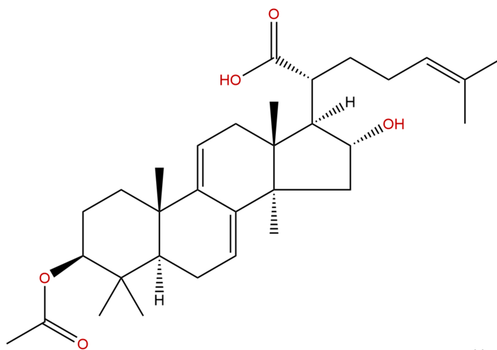  3-O-乙?；?16α-羥基松苓新酸 CAS：168293-14-9 中藥對照品