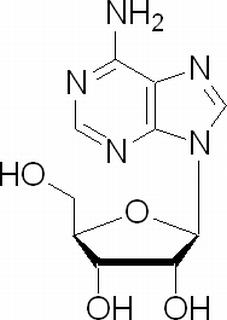 腺苷 CAS：58-61-7 中藥對照品標(biāo)準(zhǔn)品