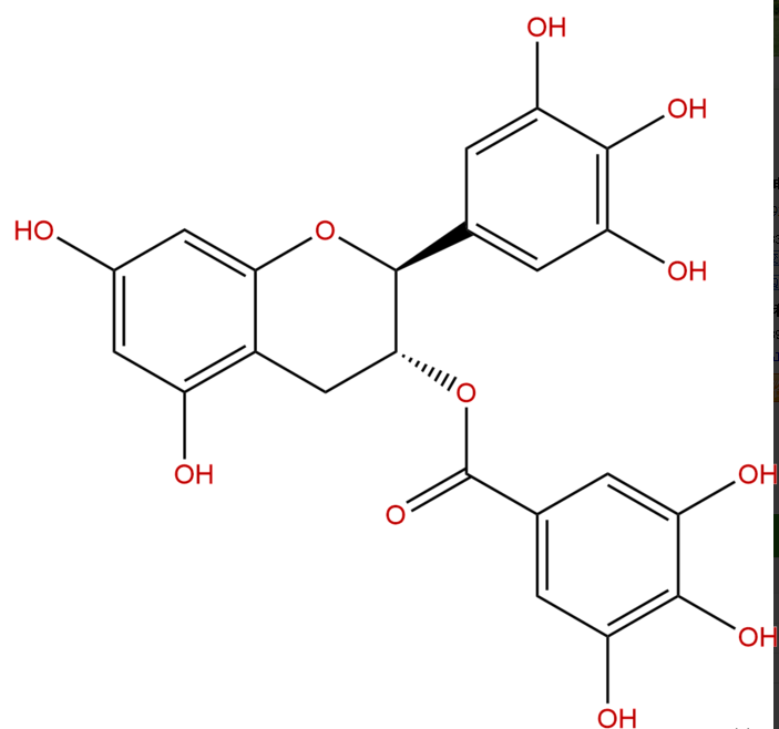 沒(méi)食子兒茶素沒(méi)食子酸脂 CAS: 4233-96-9 中藥對(duì)照品 標(biāo)準(zhǔn)品