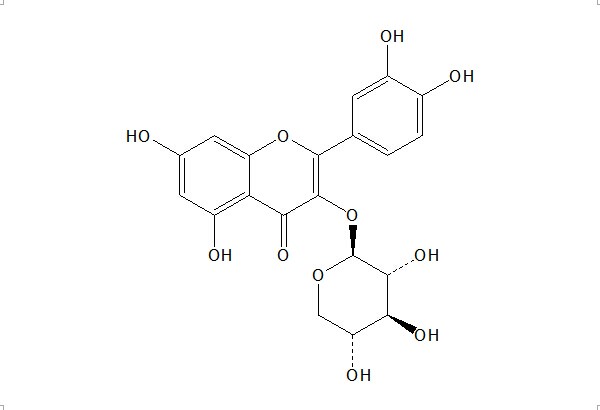 槲皮素-3-O-β-D-木糖甙 CAS：549-32-6 中藥對(duì)照品 標(biāo)準(zhǔn)品