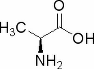 L-丙氨酸 CAS：56-41-7 中藥對照品標(biāo)準(zhǔn)品