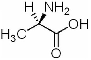 D-丙氨酸 CAS：338-69-2 中藥對照品標(biāo)準(zhǔn)品