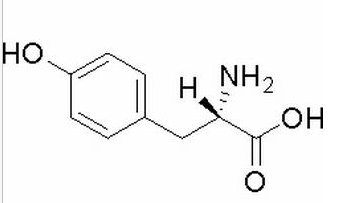  L-酪氨酸 CAS： 60-18-4 中藥對照品標(biāo)準(zhǔn)品