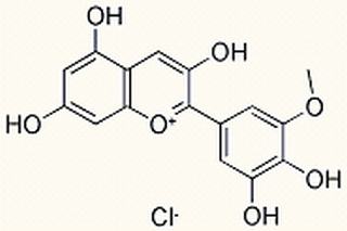 矮牽牛色素，CAS：1429-30-7，中藥對照品標準品