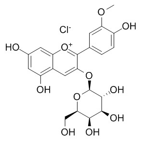 氯化芍藥素 CAS：134-01-0 中藥對(duì)照品標(biāo)準(zhǔn)品	