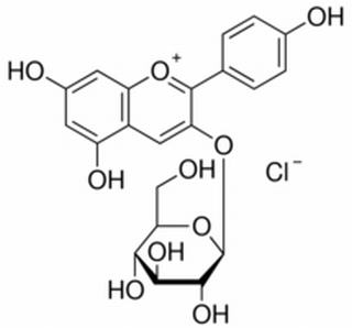 天竺葵素-3-氯化葡萄糖苷 CAS：18466-51-8 中藥對照品標(biāo)準(zhǔn)品	