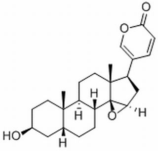 酯蟾毒配基 CAS:465-39-4 中藥對(duì)照品標(biāo)準(zhǔn)品