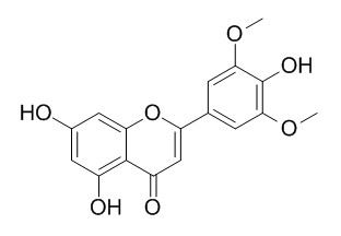 苜蓿素 CAS：520-32-1 中藥對(duì)照品標(biāo)準(zhǔn)品