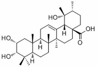 野鴉椿酸(薔薇酸) CAS : 53155-25-2 中藥對照品