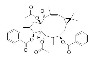 大戟因子L2（千金子素L2）CAS: 218916-51-9 中藥對照品標(biāo)準(zhǔn)品