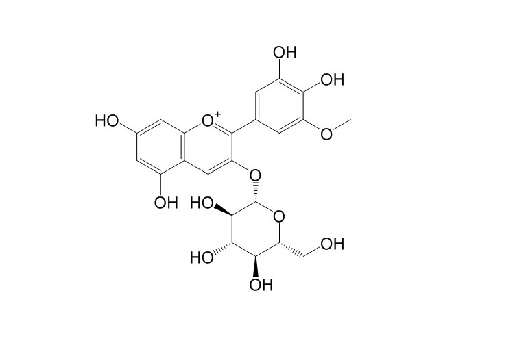 矮牽牛素-3-O-葡萄糖 CAS: 71991-88-3 中藥對照品標(biāo)準(zhǔn)品