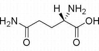 L-谷氨酰胺 CAS：56-85-9 中藥對(duì)照品標(biāo)準(zhǔn)品