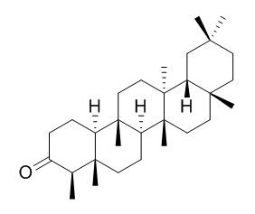 無(wú)羈萜，木栓酮 CAS號：559-74-0 對照品 標準品