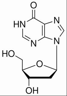 2′-脫氧肌苷 CAS號(hào)：890-38-0 對(duì)照品 標(biāo)準(zhǔn)品