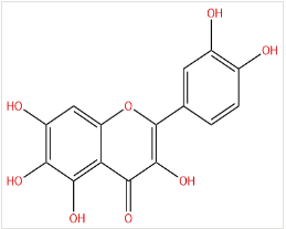 槲皮萬壽菊素 CAS號：90-18-6 中藥對照品標(biāo)準(zhǔn)品