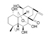 拉西多寧 CAS號：38602-52-7 中藥對照品標(biāo)準(zhǔn)品