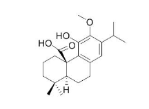 鼠尾草酸-12-甲醚 CAS號：62201-71-2 中藥對照品標準品