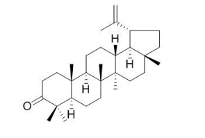 羽扇烯酮 CAS號：1617-70-5 中藥對照品