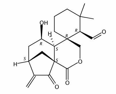 毛果香茶菜醛A CAS號：85329-59-5 中藥對照品標準品