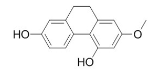 Lusianthridin  CAS號：87530-30-1  中藥對照品標準品