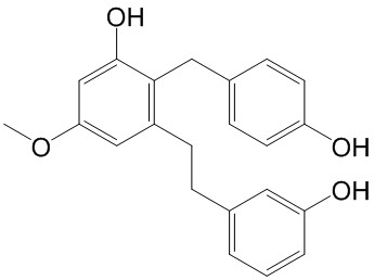 Isoarundinin II  CAS號(hào)： 151538-56-6 中藥對(duì)照品標(biāo)準(zhǔn)品