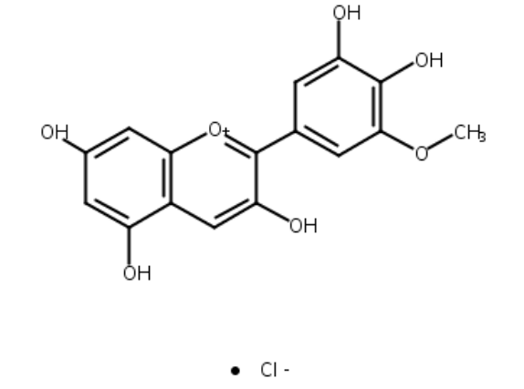  矮牽牛色素  CAS號(hào)： 1429-30-7? 中藥對(duì)照品標(biāo)準(zhǔn)品